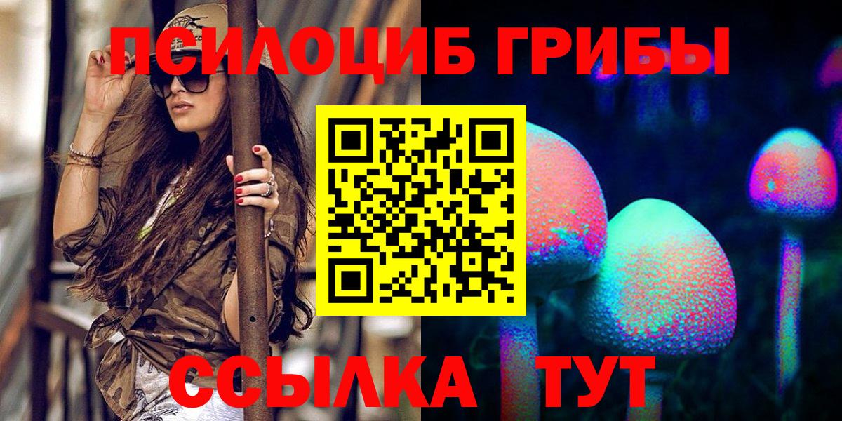 Галлюциногенные грибы Psilocybine cubensis Лянтор