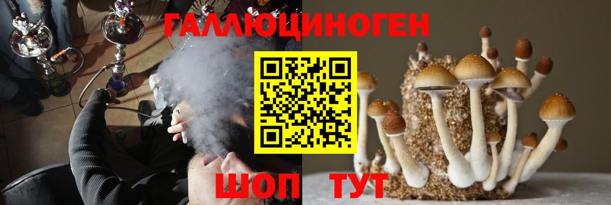 Лянтор  купить  цена  Вход с VPN  Псилоцибиновые грибы Psilocybe 